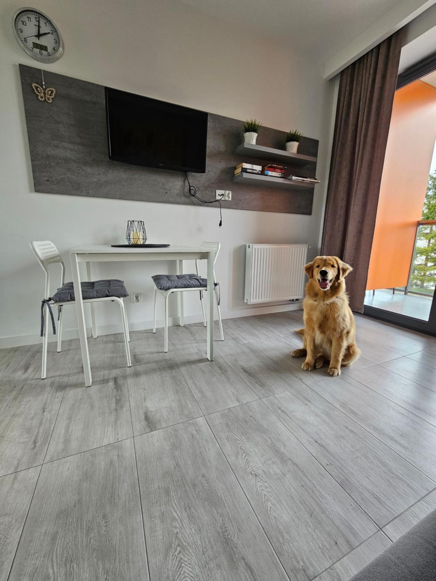 Apartament B106 - Residence Jastrzębia Góra Eksteriør bilde